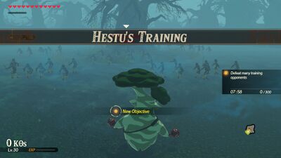 Hestus-Training.jpg