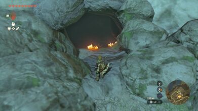 Blast open the cave with a Bomb Flower to find the Retsam Forest Cave