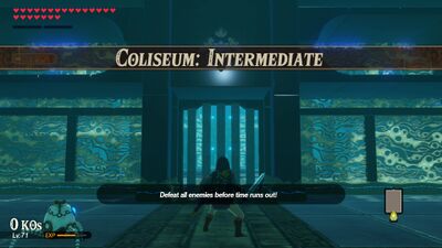 Coliseum-Intermediate.jpg