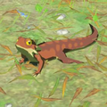 Breath of the Wild Hyrule Compendium picture of the Hightail Lizard.