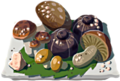29: Salt-Grilled Mushrooms