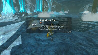 Link obtaining a Bright-Eyed Crab in Tears of the Kingdom