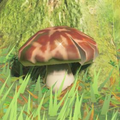 Breath of the Wild Hyrule Compendium picture of the Razorshroom.