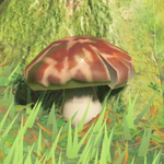 Hyrule-Compendium-Razorshroom.png