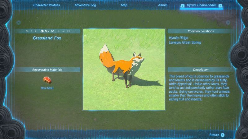 File:TotK Grassland Fox Hyrule Compendium.jpg