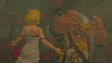 The blond lady will speak with Yunobo, which will commence a boss battle