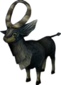 An Ordon Goat