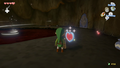 Link in front of the Heart Container after defeating Gohma