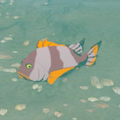Hyrule-Compendium-Mighty-Porgy.png