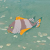 Hyrule-Compendium-Mighty-Porgy.png