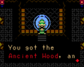 Link acquiring the Ancient Wood
