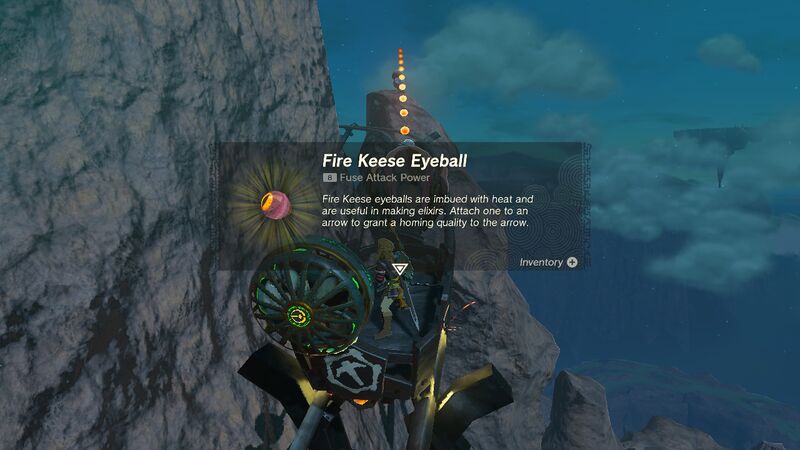 File:TotK Fire Keese Eyeball.jpg