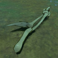 Breath of the Wild Hyrule Compendium picture of a Lizalfos Arm.