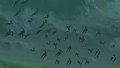 A Keese Swarm in '"Breath of the Wild