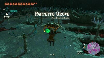 TotK Pappetto Grove Depths.jpg