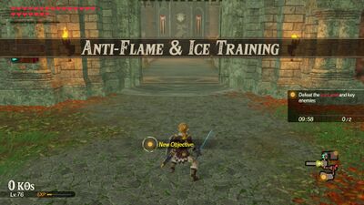 Anti-Flame-and-Ice-Training.jpg