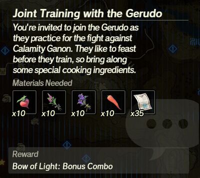 Joint-Training-with-the-Gerudo.jpg