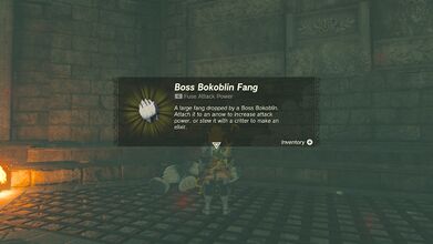 Link picking up a Boss Bokoblin Fang