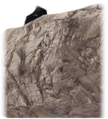Stone Talus from Age of Calamity