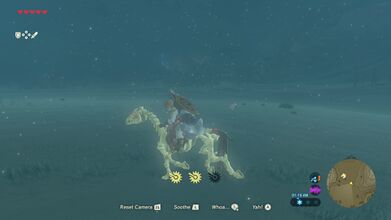 Optional: Link can ride a Stalhorse!
