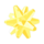 Star-fragment.png