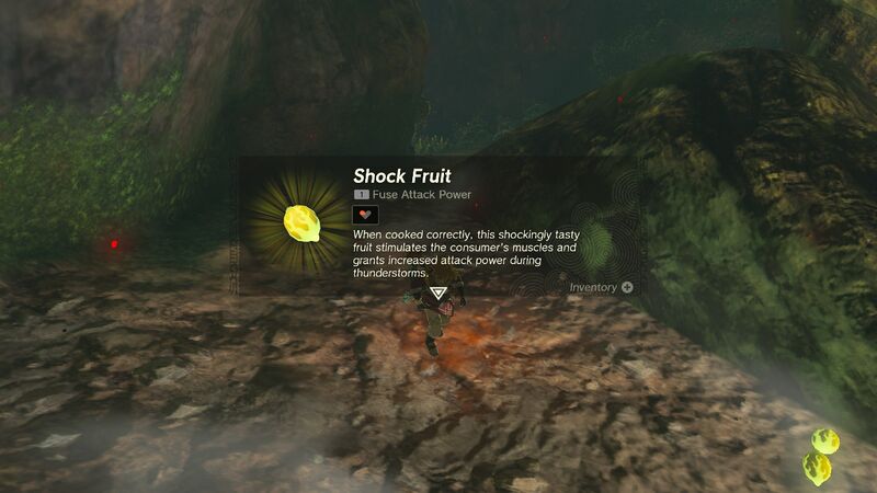 File:TotK Shock Fruit.jpg