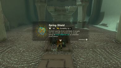 Link obtaining a Spring Shield in Tears of the Kingdom