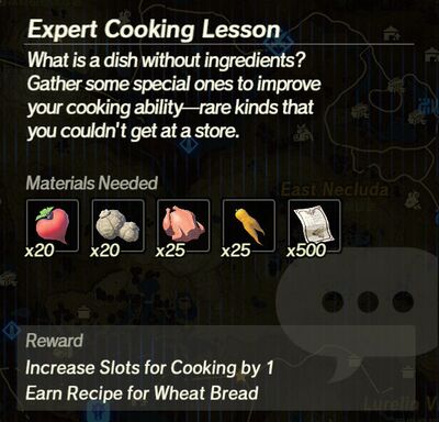Expert-Cooking-Lesson.jpg