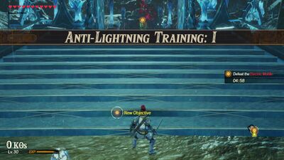 Anti-Lightning-Training-I.jpg