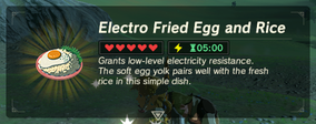Electro Fried Egg and Rice