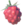 Wildberry - TotK icon.png