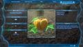 Hyrule Compendium entry for Fortified Pumpkin in Tears of the Kingdom