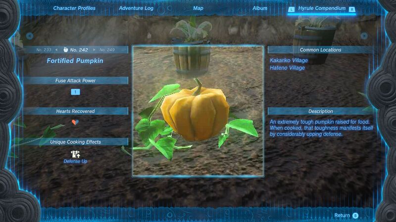 File:TotK Fortified Pumpkin Hyrule Compendium.jpg