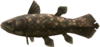 Ancient Fish