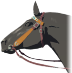 Stable Bridle - TotK icon.png