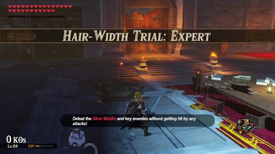 Hair-Width-Trial-Expert.jpg