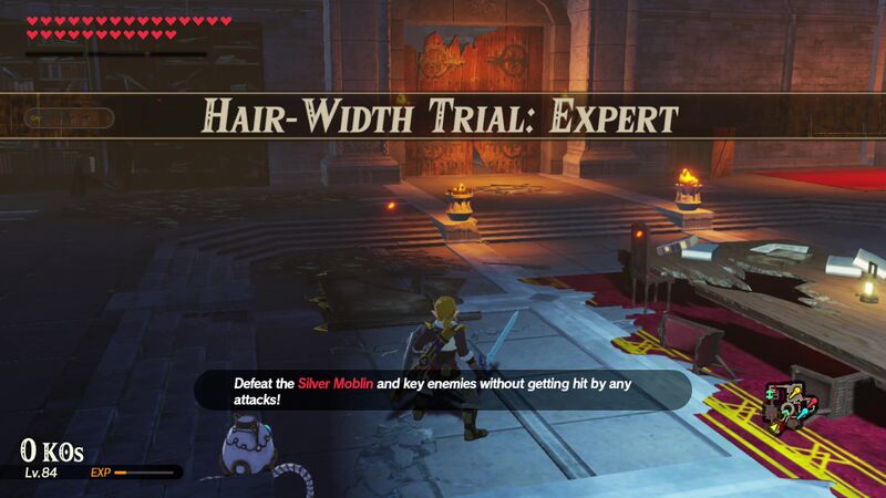 File:Hair-Width-Trial-Expert.jpg
