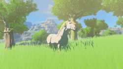 Default Tears of the Kingdom Hyrule Compendium picture of the White Horse