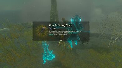 Link picking up a Gnarled Long Stick