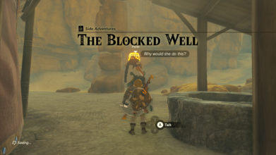 Drop down into the Gerudo Canyon Well