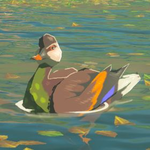 Hyrule-Compendium-Bright-Chested-Duck.png