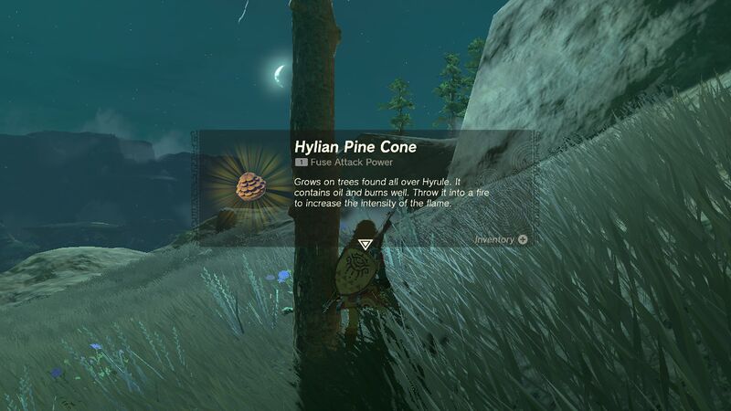 File:TotK Hylian Pine Cone.jpg