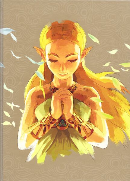 File:Breath-of-the-Wild-Piggyback-Strategy-Guide-Expanded-Edition.jpg