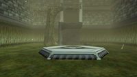 The Entrance To The Forest Temple, With The Platform Where Link Warps To Infront