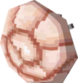Shell-Wheel.png