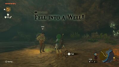 Fell into a Well! - TotK.jpg