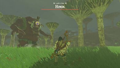 Battling a Hinox at Ludfo's Bog