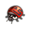 Volcanic-Ladybug-Icon.png