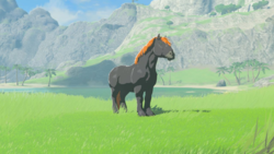 Default Tears of the Kingdom Hyrule Compendium picture of the Giant Horse