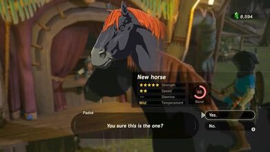 Statistics of the Giant Horse